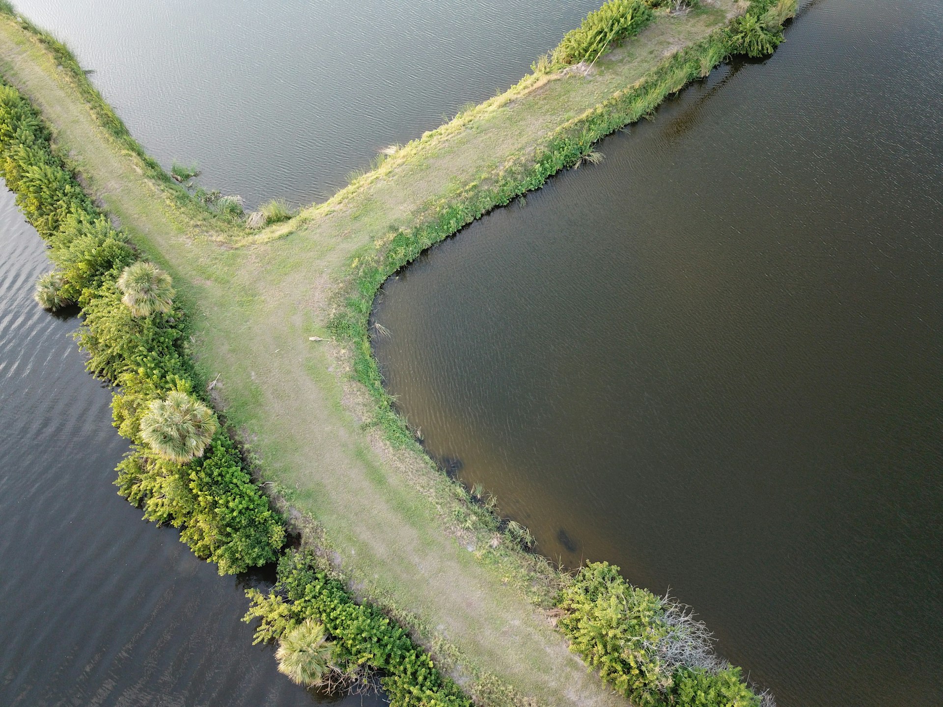 aerial photo of pathway