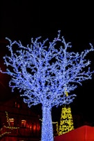 blue lighted trees