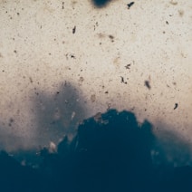 blue and white stone fragment