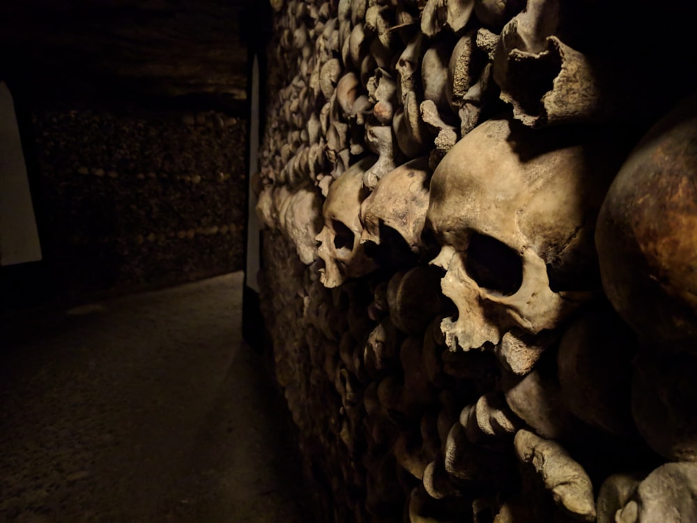 human skull wall