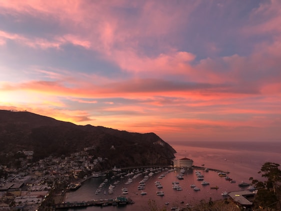 A serene view of Naoussa harbor at sunset with whitewashed buildings and boats gently bobbing in the water.