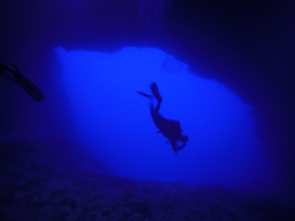 person swimming underwater