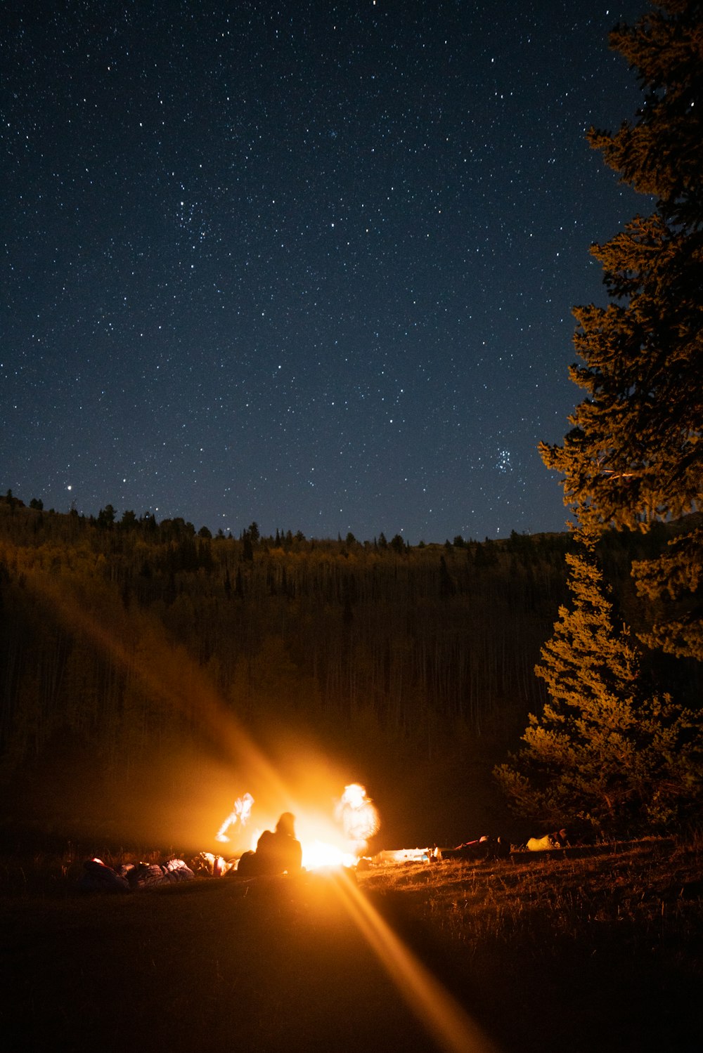 people gathered around bonfire during starry night