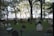 A serene cemetery scene with numerous headstones scattered across a grassy area, surrounded by tall trees. Sunlight filters through the leaves, casting dappled shadows on the ground. In the background, modern architecture is visible, contrasting with the historical setting of the graveyard.