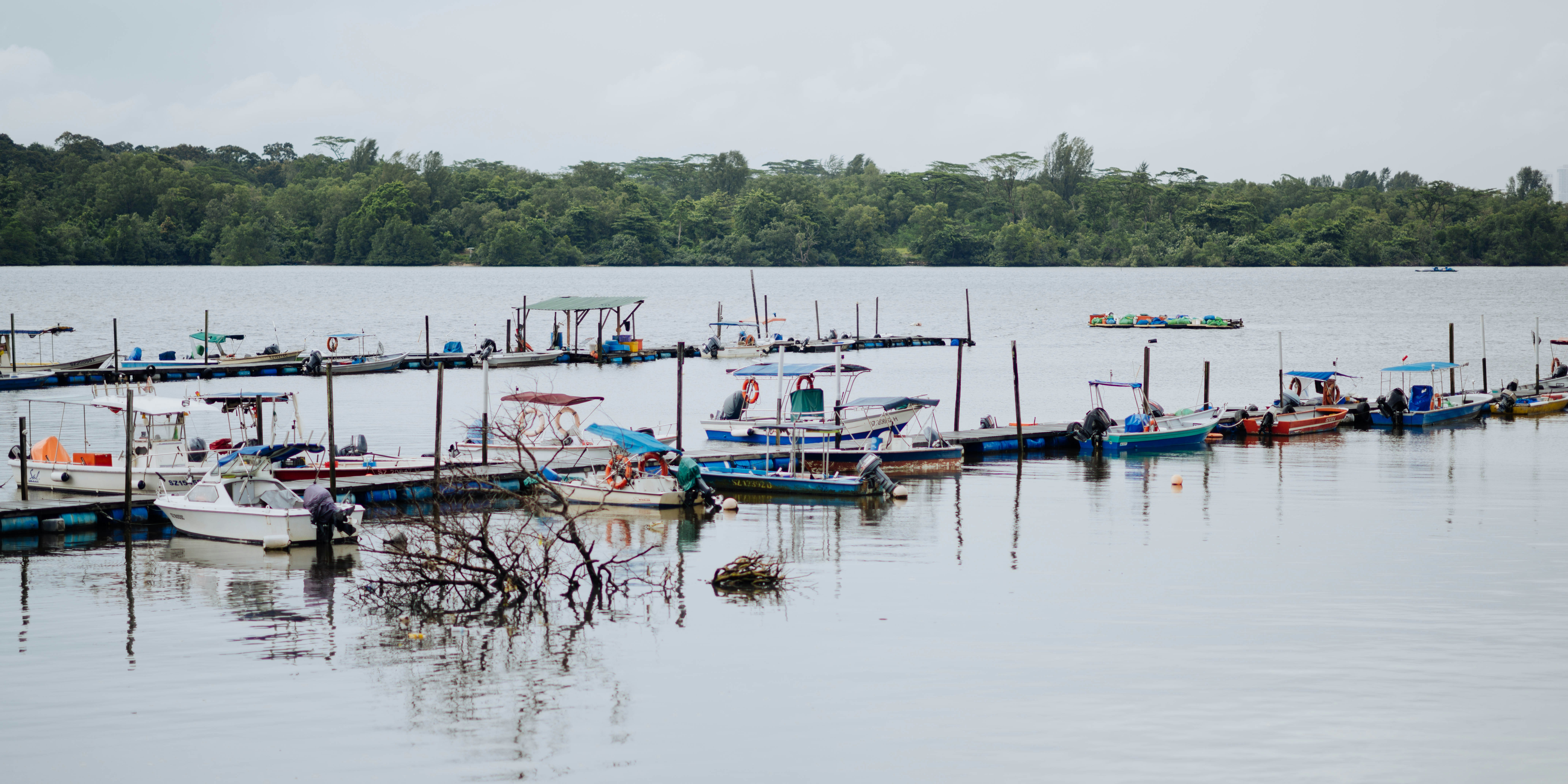 Photo by chuttersnap