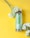 A green bottle labeled 'DOSE ORGANIC' with the word 'cactus' on it is placed on a bright yellow background. Beside the bottle, there are several light green and white flowers, adding a fresh and natural element to the composition.