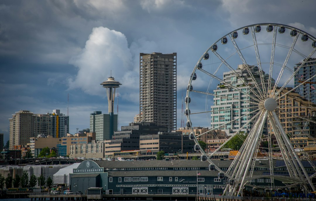 white ferris wheel,