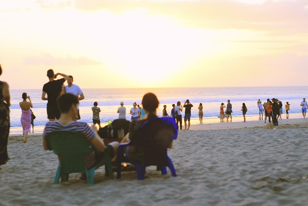 people on seashore during golden hour