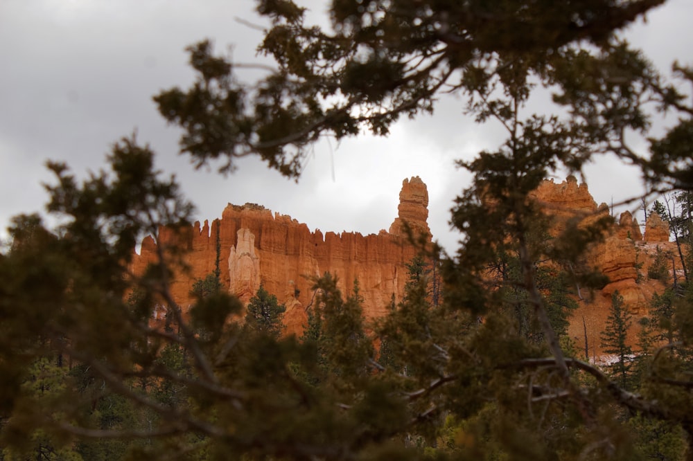 Fay Canyon Arch Tail