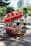 A street vendor's cart with a large red umbrella bearing logos and branding. The cart is filled with various items, including bottled drinks, snacks, and containers. The vendor, wearing a red cap and striped shirt, sits on a yellow folding chair beside the cart. The setting is outdoors, with trees and modern buildings in the background.