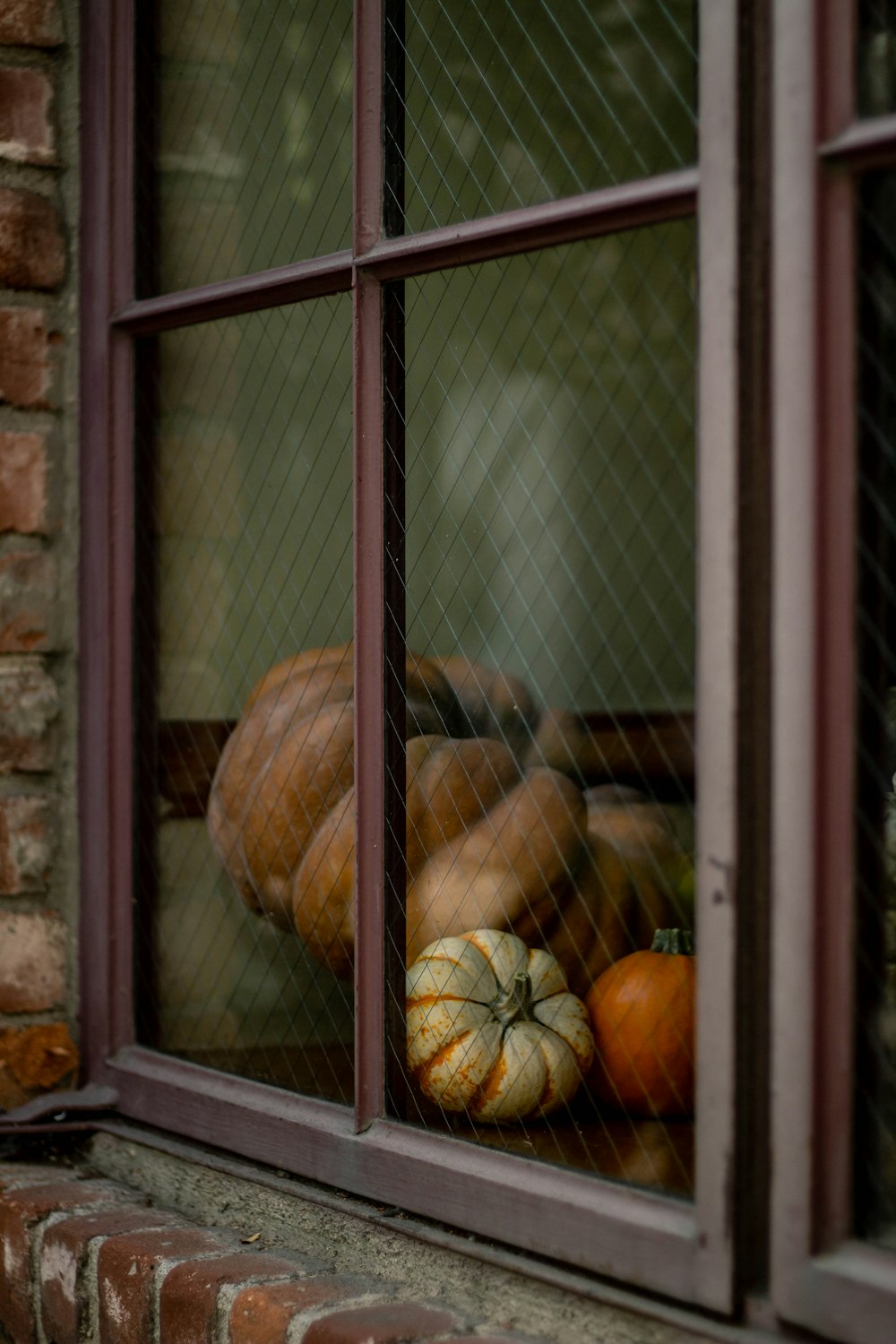 squashes beside window