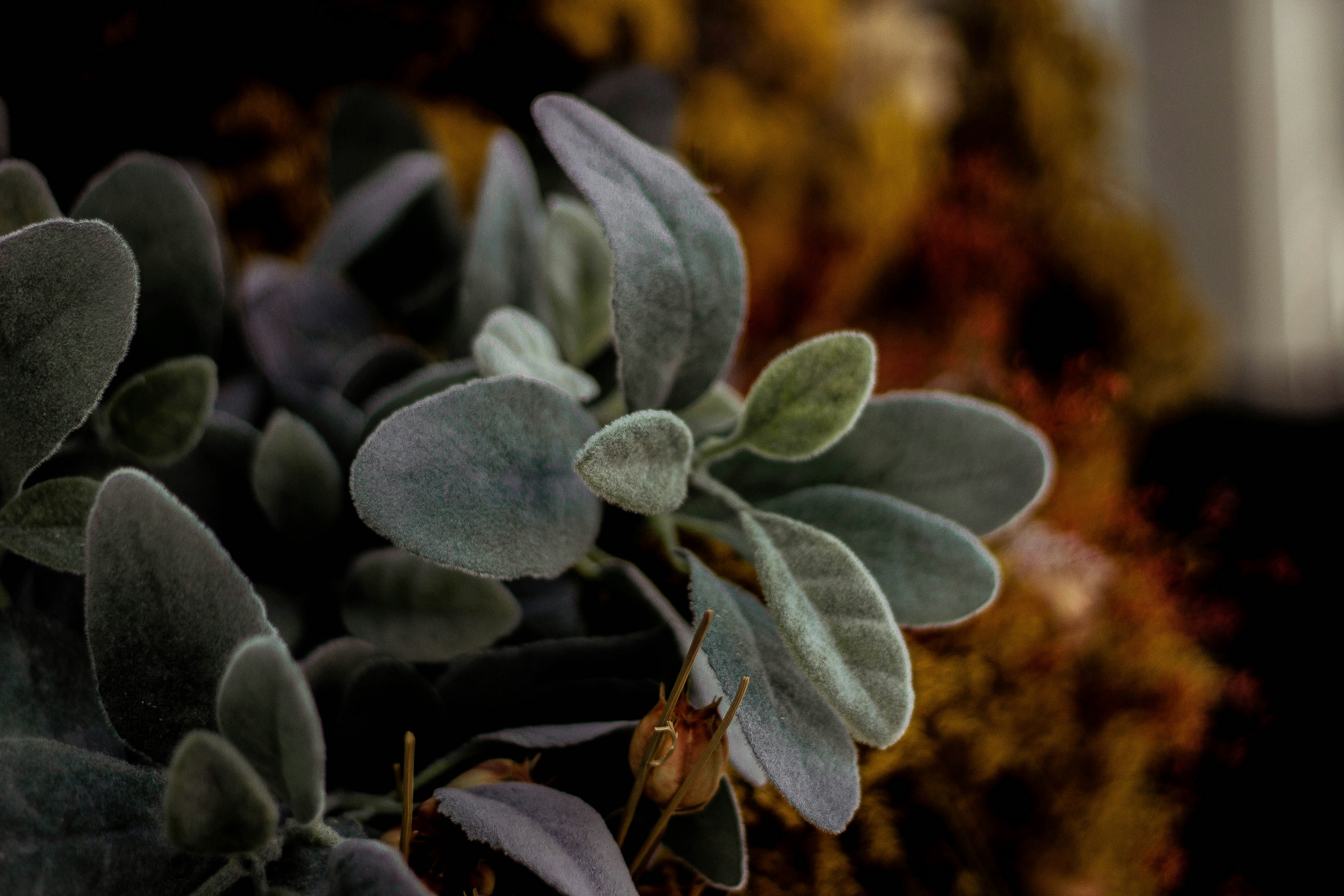 Photo by esther_e_ramirez