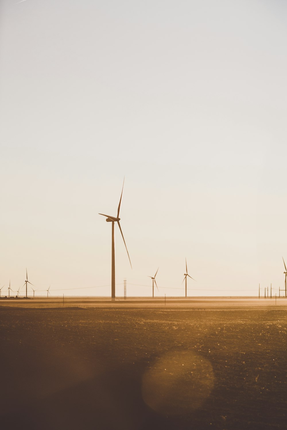 field of wind mill