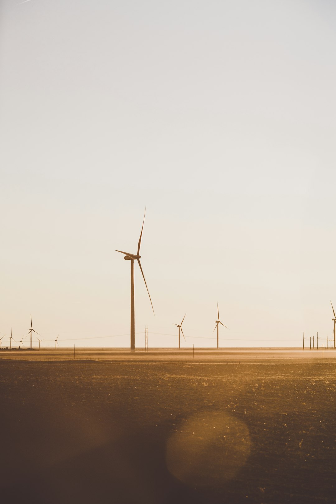 field of wind mill