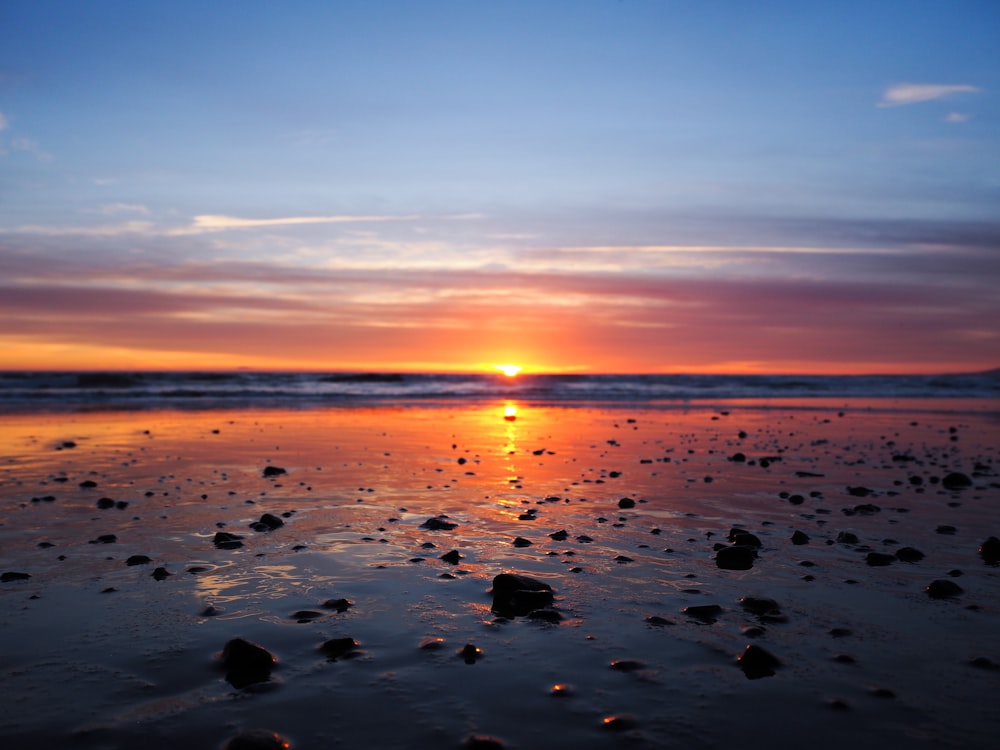 seashore under yellow orange sky