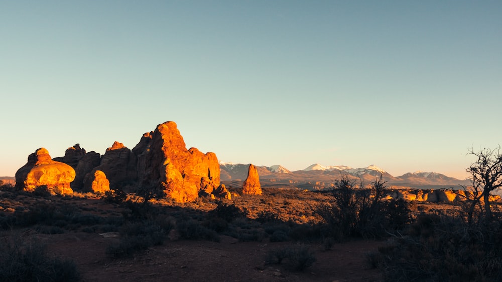 brown rock formation during daytime