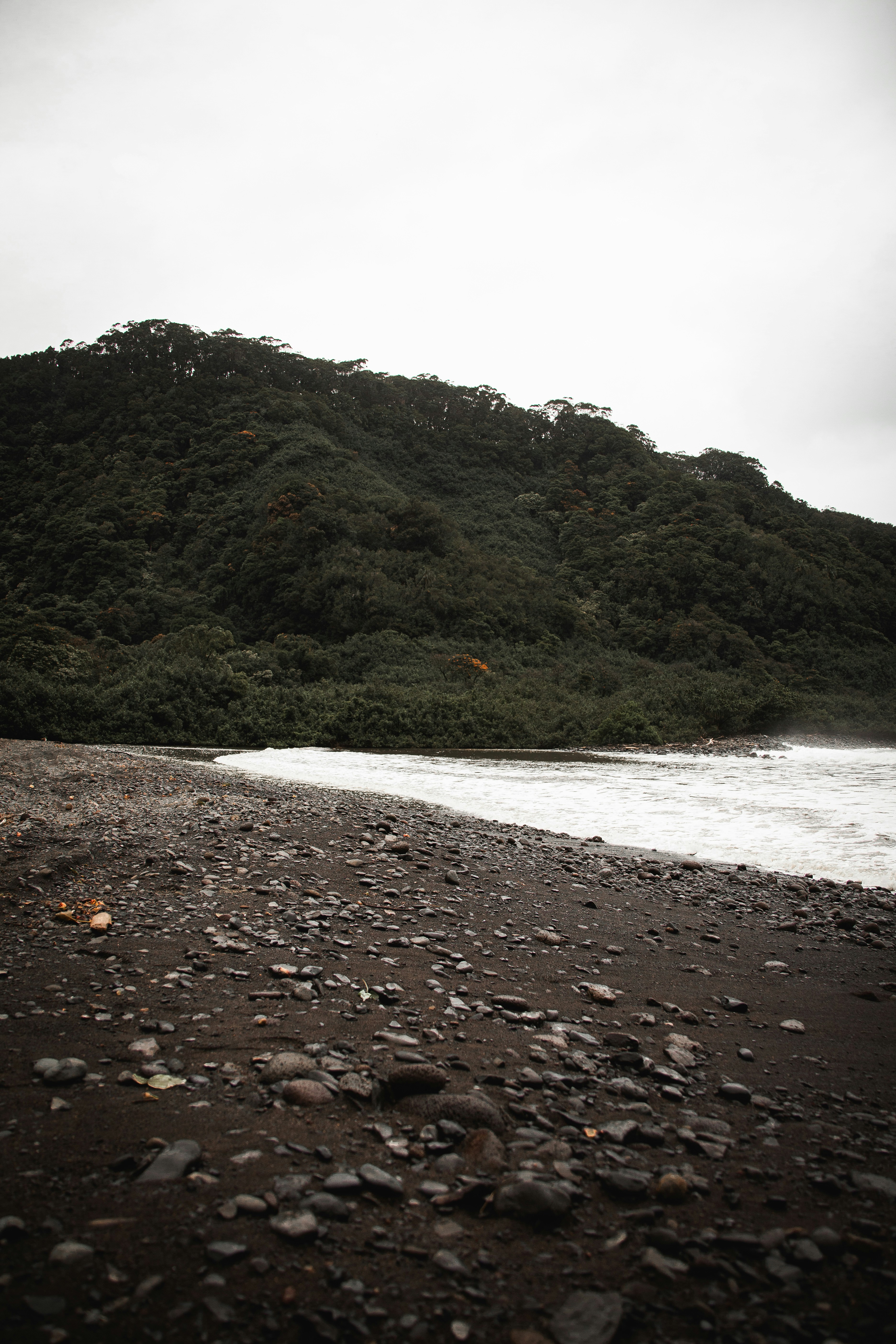 Photo by alexmcferon