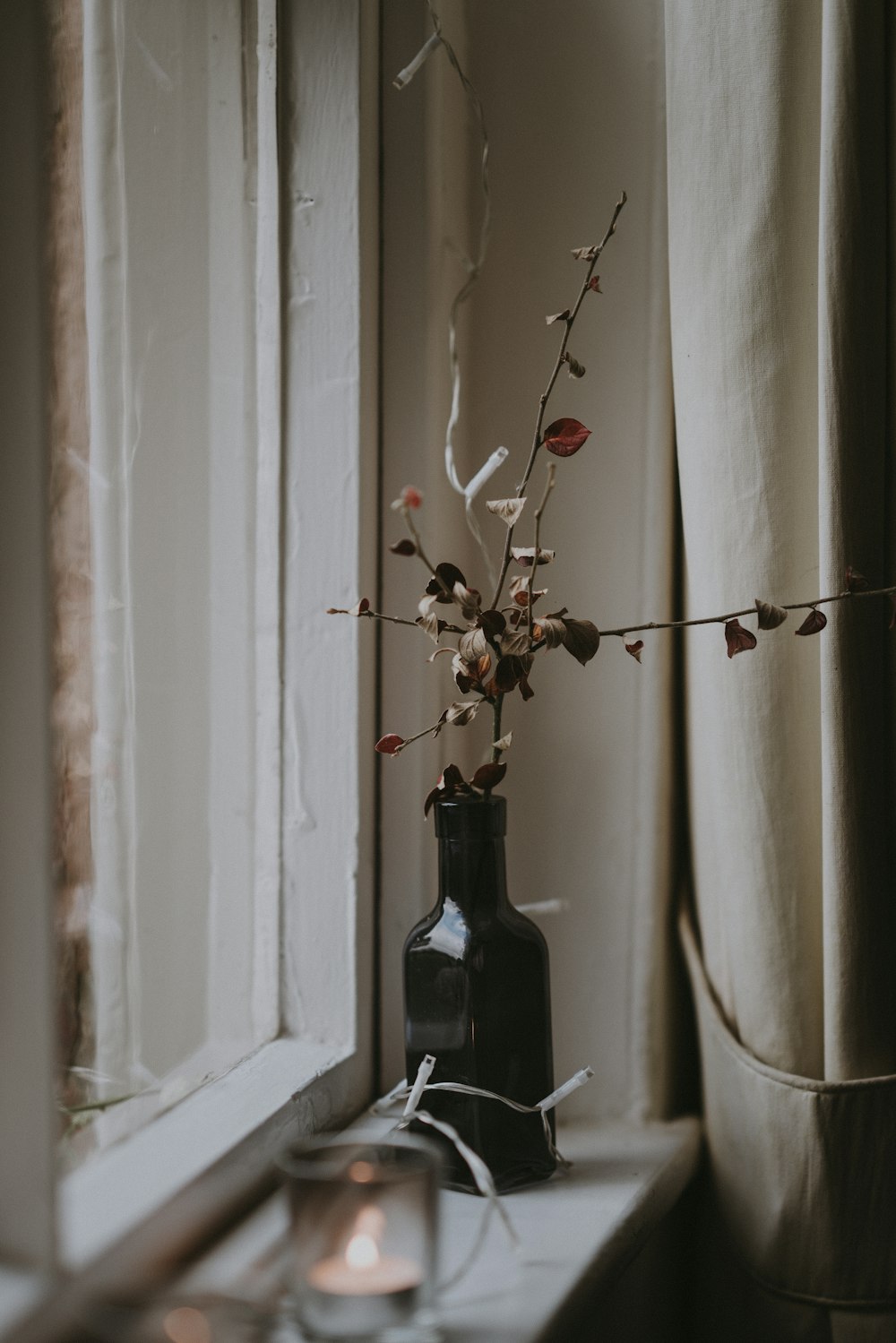 white flower on black tinted bottle placed by the window