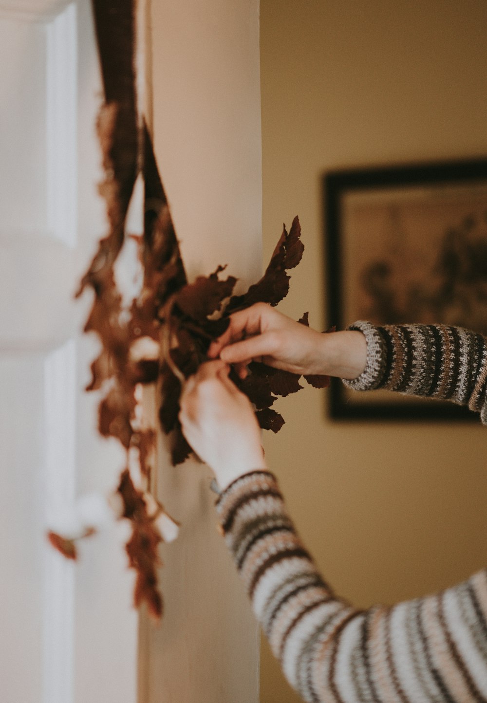 person holding leaf