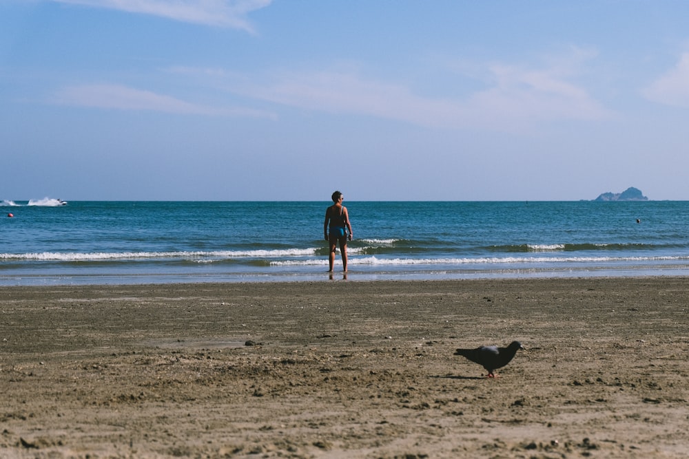 man standing on shore facing ocean during daytime