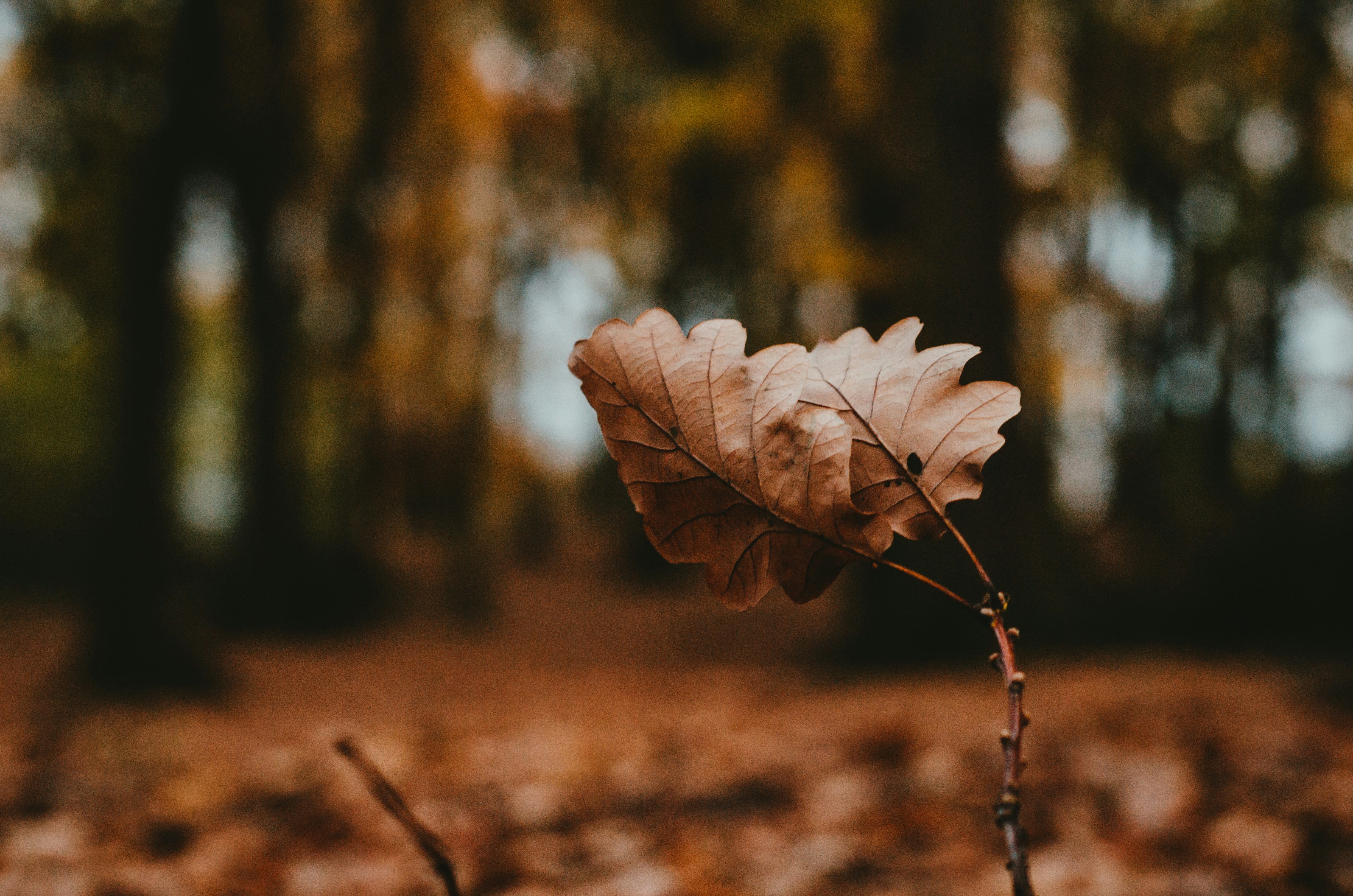 Photo by shanerounce