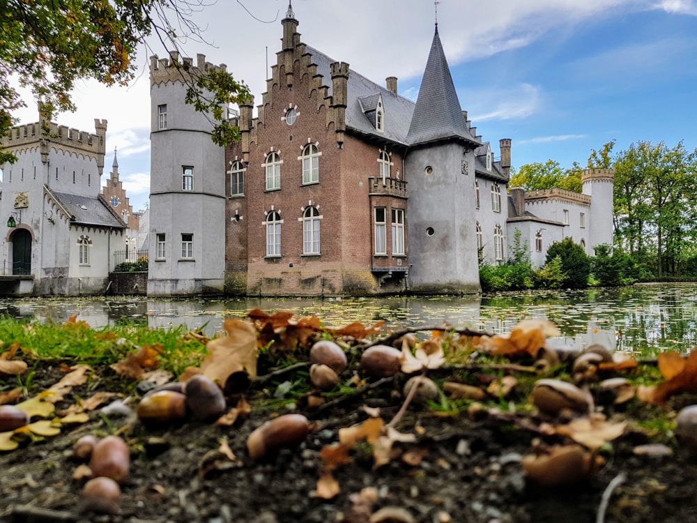 beige and grey house