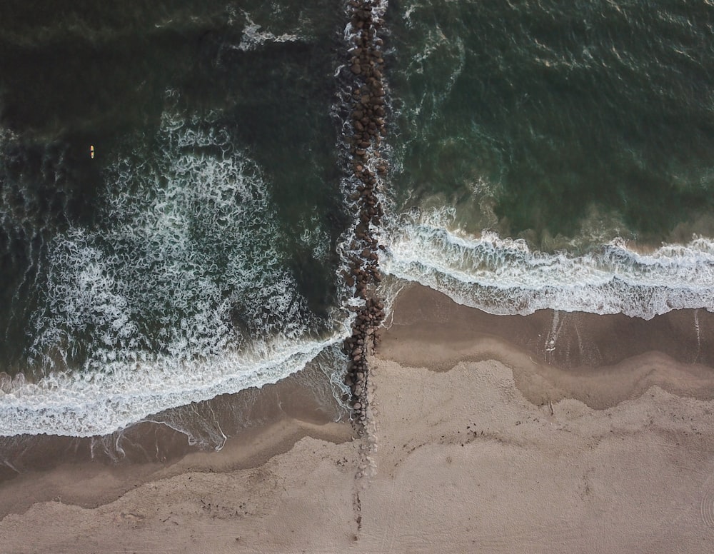 aerial photography body of water
