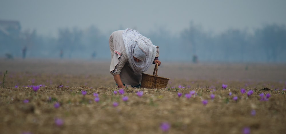 personne cueillant des fleurs