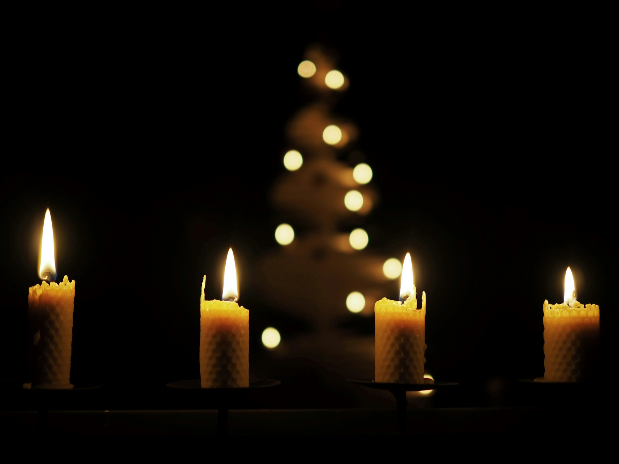 In Germany, it is custom to have four candles in the advent, each sunday an additional one get lit, the so called “Adventskranz”. On the last sunday in the advent, all candles burn. This is a Adventskranz in front of a christmas tree. I quite like the effect of all the lights and the nice bokeh.