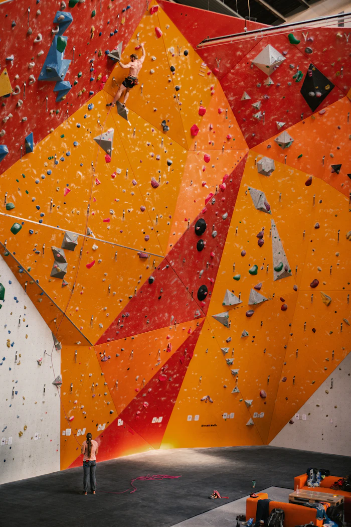 Orange and red holds on a climbing wall