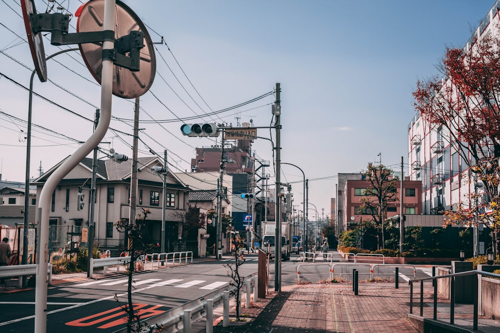 木の近くの道路に白いフレームの信号機