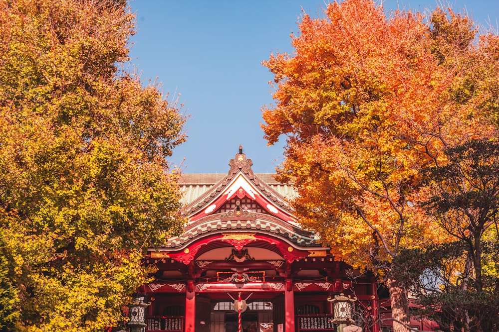 red dojo near trees