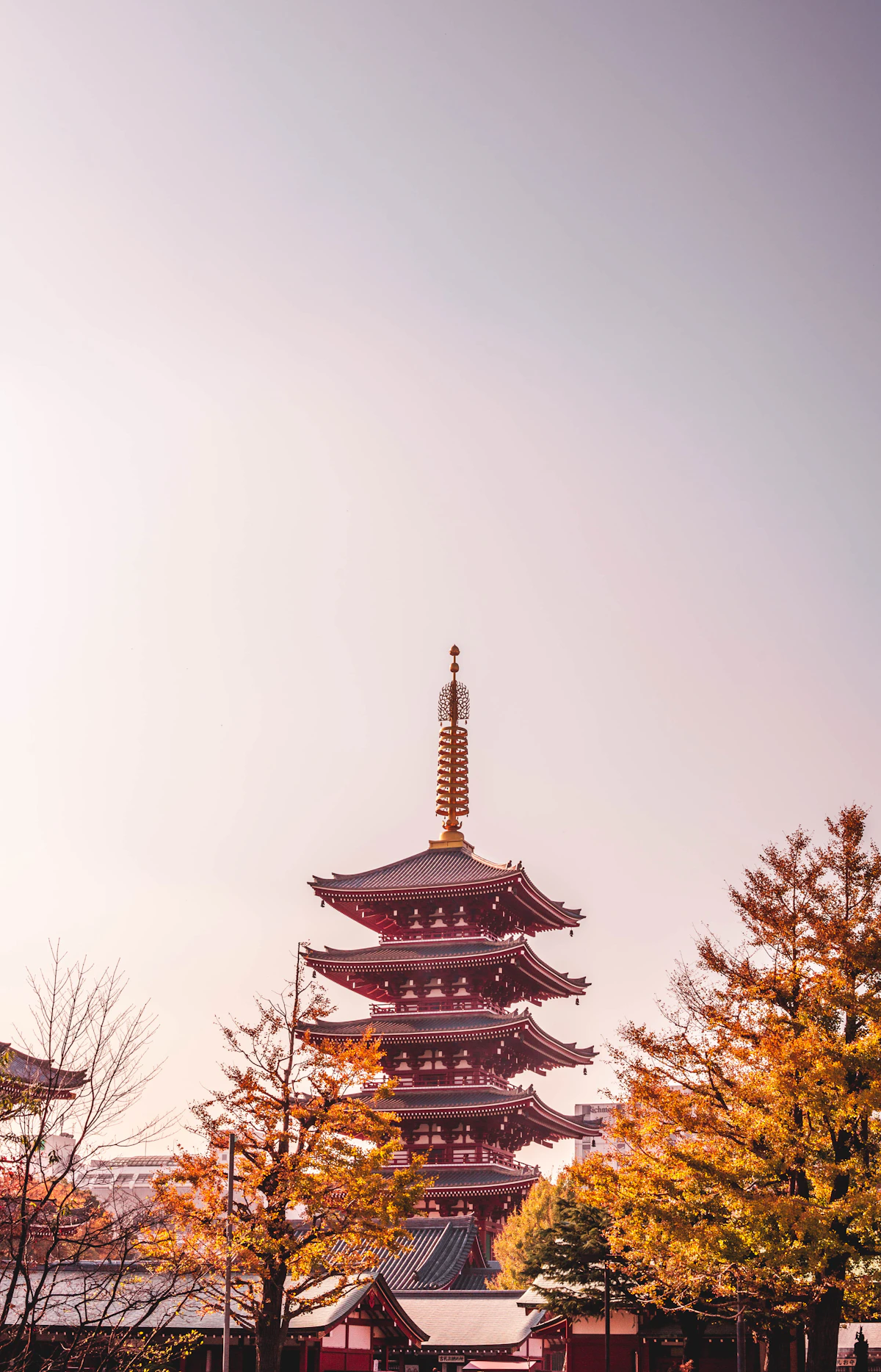 Sensoji Temple and its pagoda glowing in the evening light of Asakusa