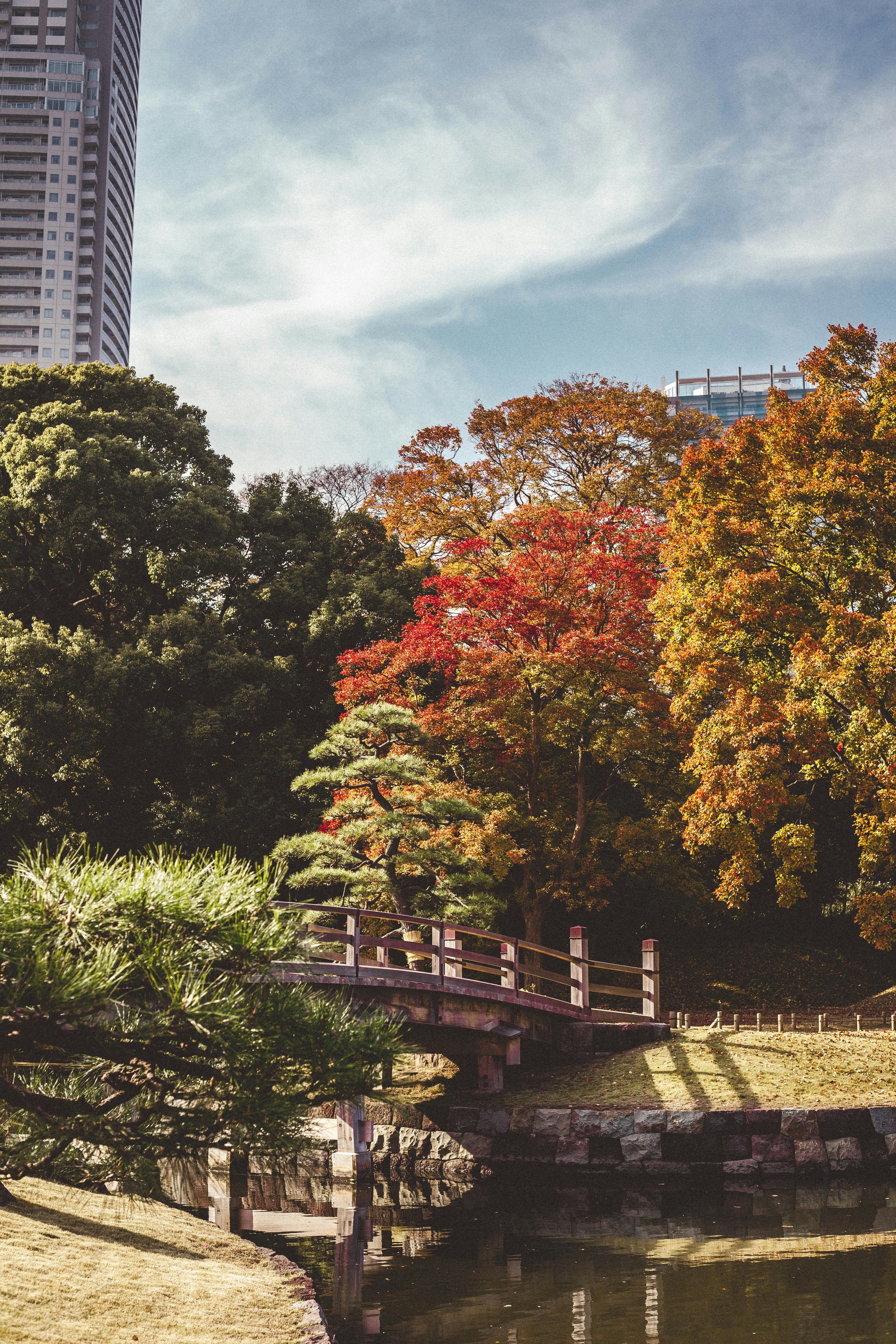 Photo by charlespostiaux