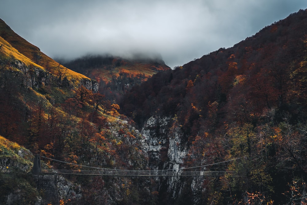 bridge between two mountains