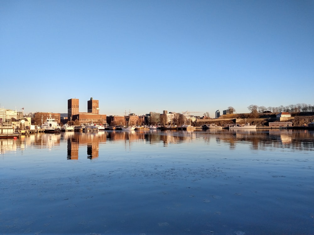 body of water during daytime