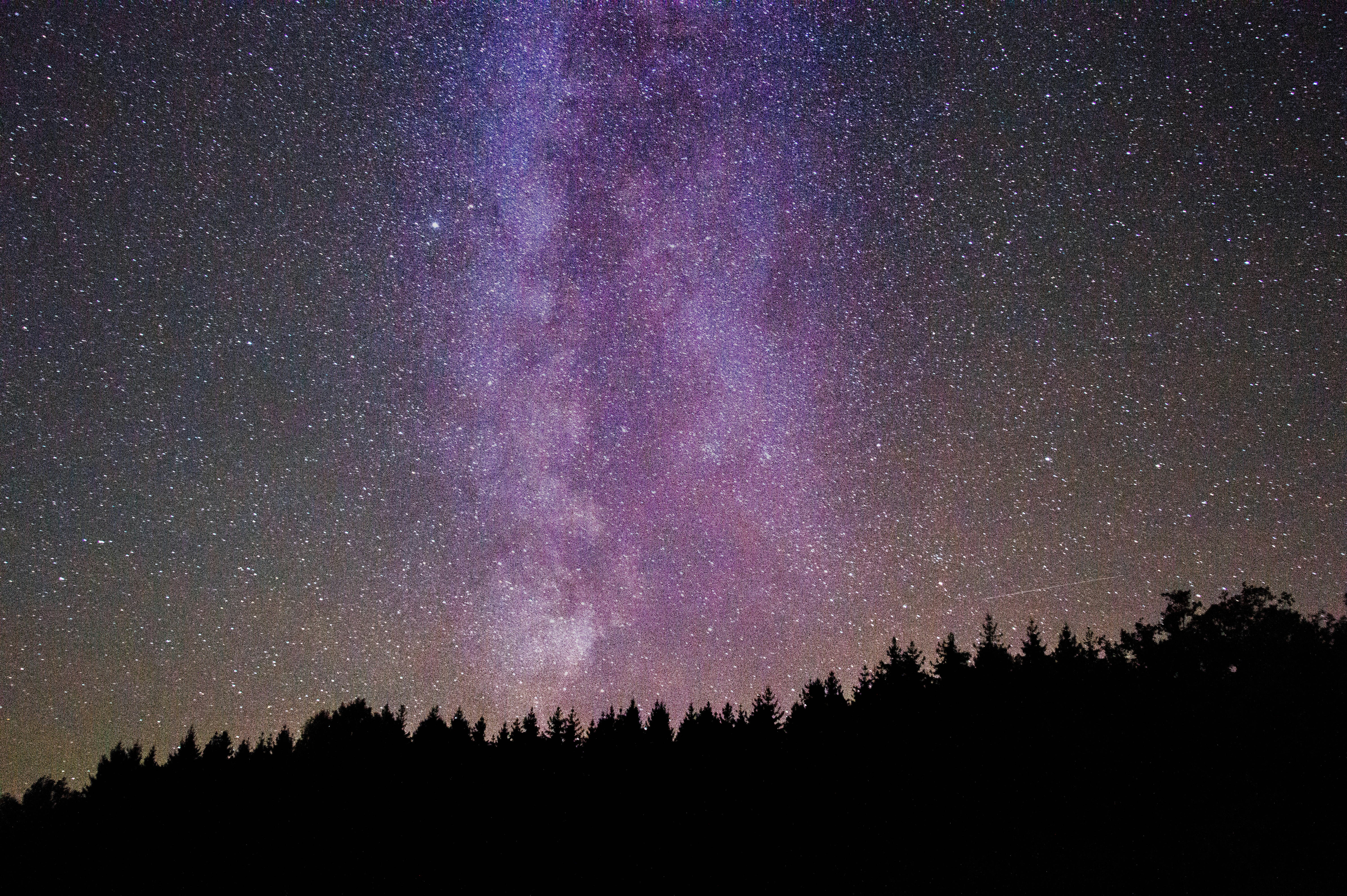 milkyway under trees