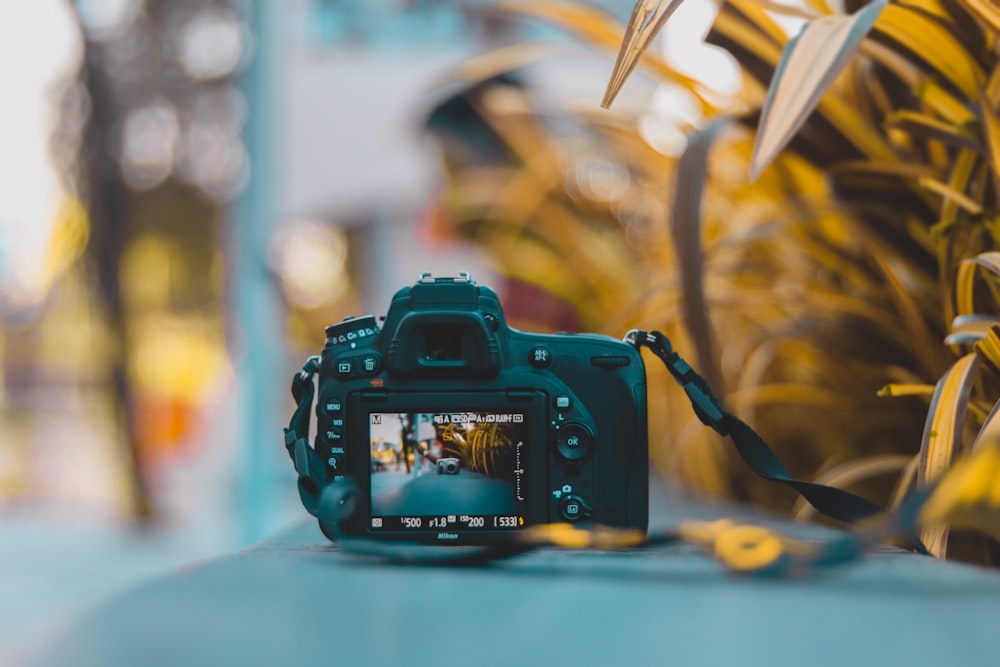 digital camera placed near plants