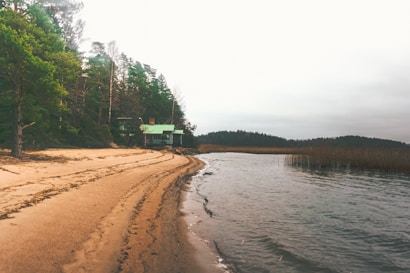 A serene beach scene features a sandy shoreline curving along the edge of a calm body of water. Tall, lush green trees border the left side, with a small cabin with a green roof nestled among them. The sky appears overcast, casting a subdued light over the entire landscape.