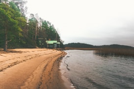 A serene beach scene features a sandy shoreline curving along the edge of a calm body of water. Tall, lush green trees border the left side, with a small cabin with a green roof nestled among them. The sky appears overcast, casting a subdued light over the entire landscape.