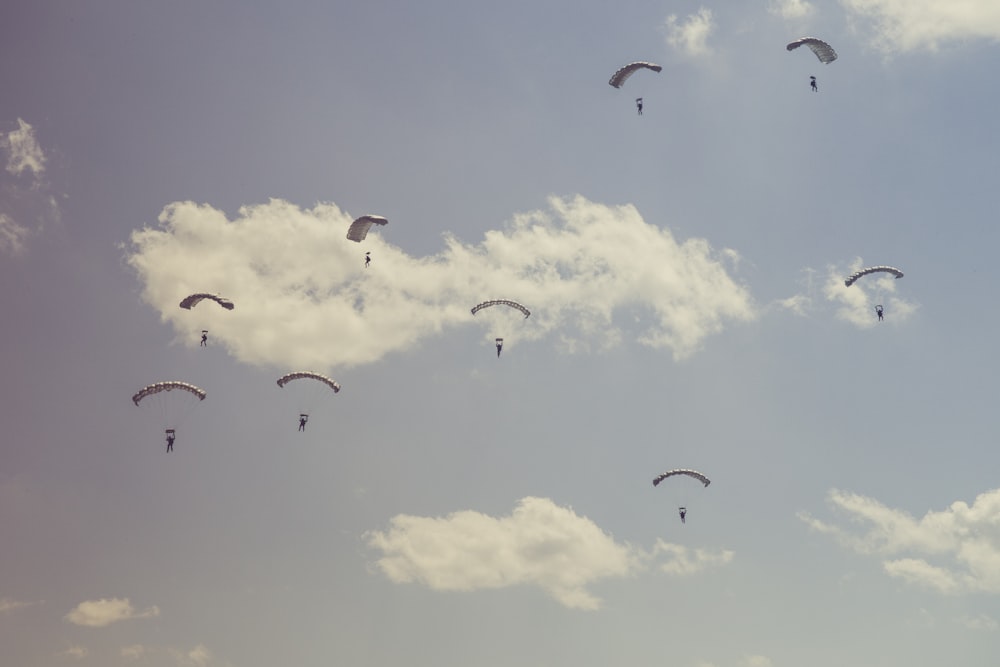 people on parachutes during daytime