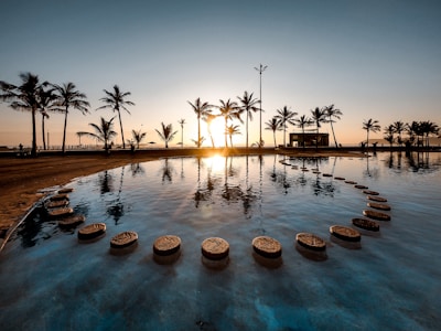 sun raise passing through palm trees near pool