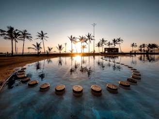 sun raise passing through palm trees near pool