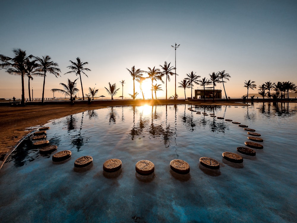 il sole sorge passando attraverso le palme vicino alla piscina