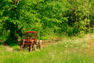 red farm tractor