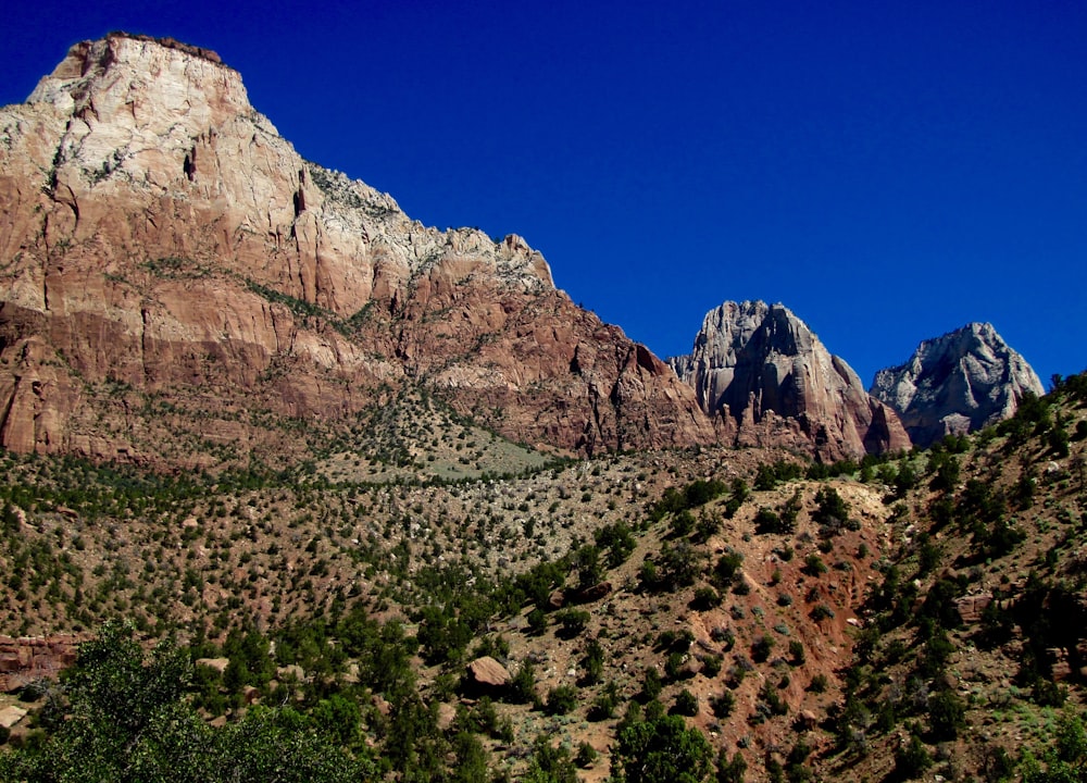 brown mountain and green leaf trees