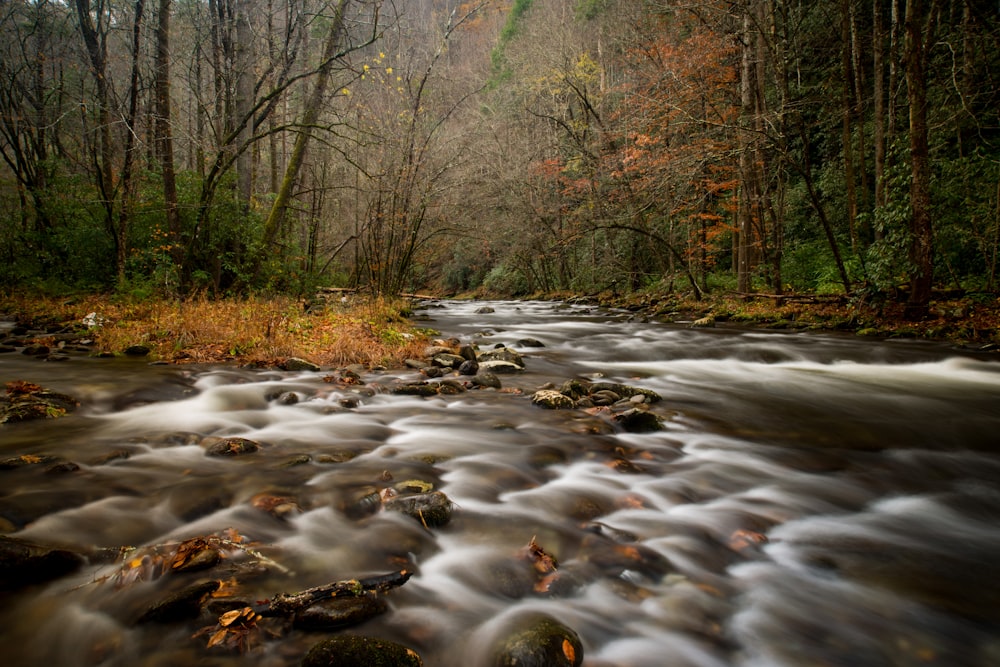 time-lapse photography of lake during daytime