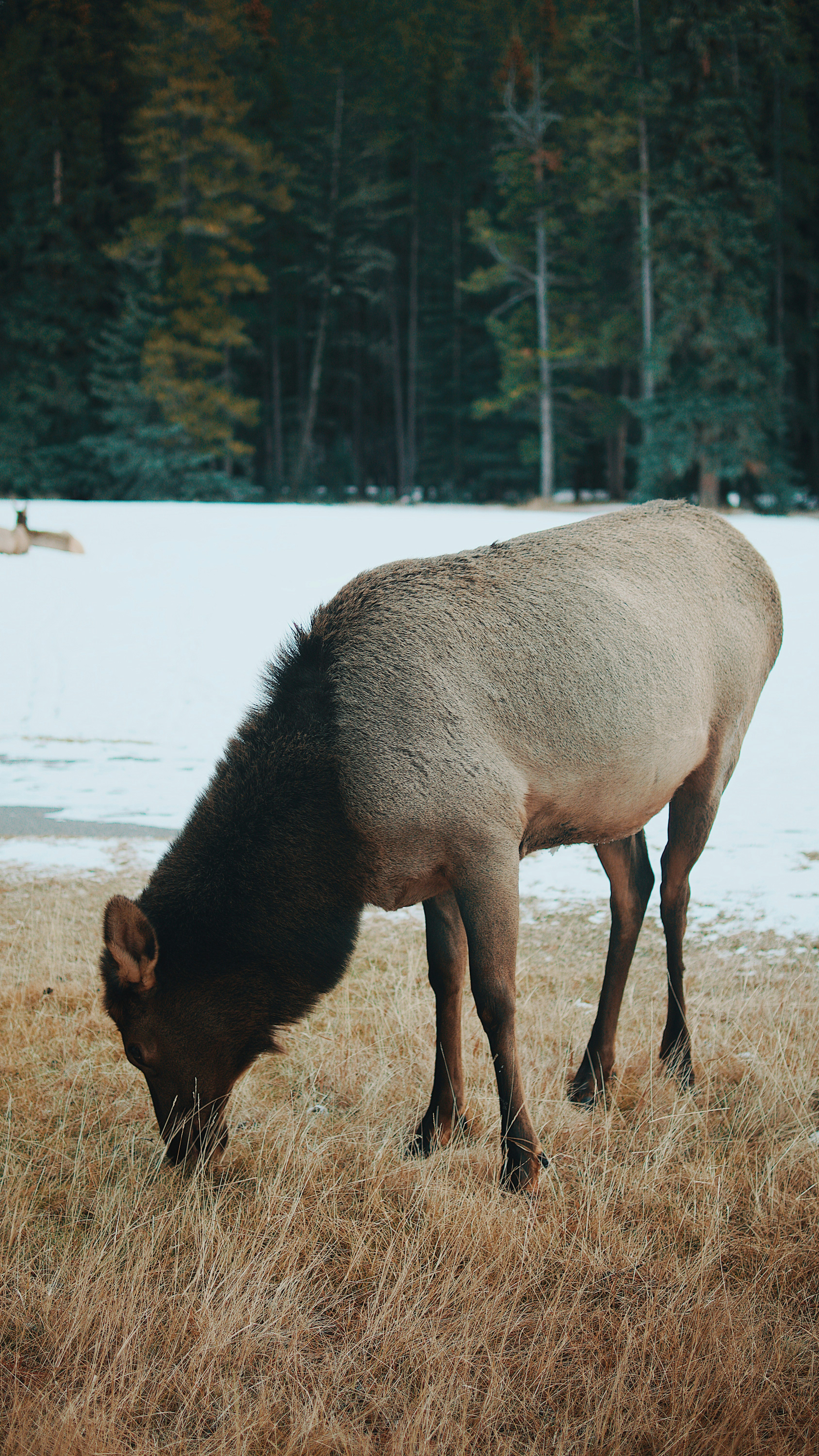 Photo by alecfavale