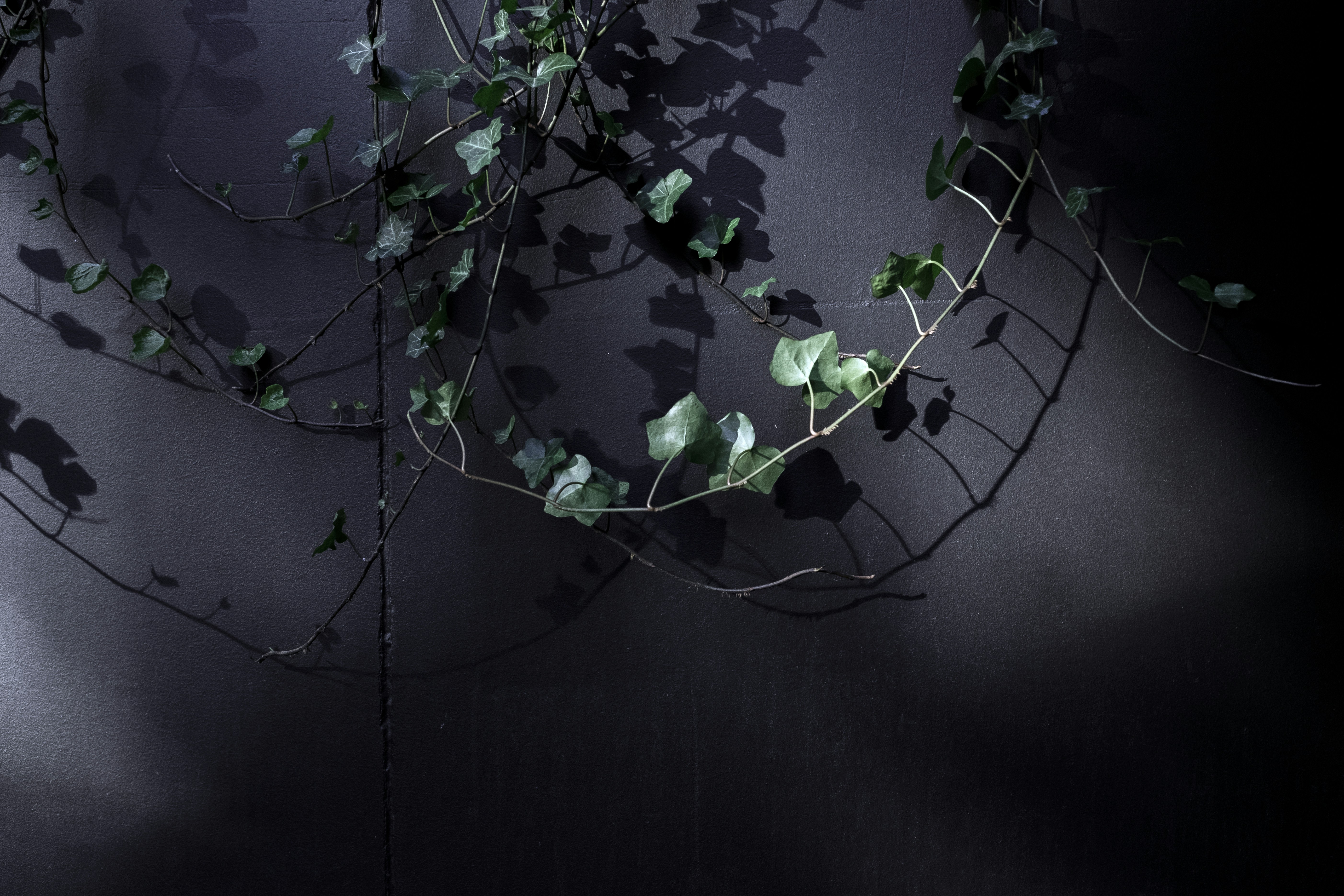 Photo by dbeamer_jpg