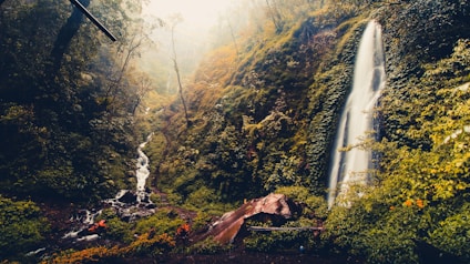 A serene waterfall cascades down a lush, green hillside surrounded by dense forest. The flowing water glistens in the soft light that filters through the misty atmosphere. Vivid greenery covers the landscape, adding to the sense of tranquility and natural beauty.